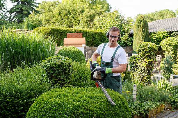 Best Organic Lawn Care Solutions  in Wilmington, DE