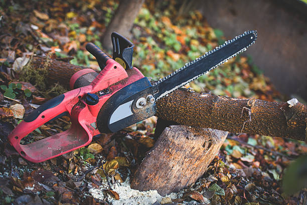 Leaf Removal in Wilmington, DE